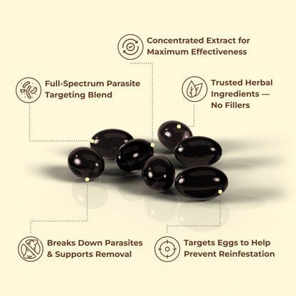 Wormwood Black Walnut ClovesFlush Out Hidden Parasites & Larva with Wormwood Black Walnut Cloves