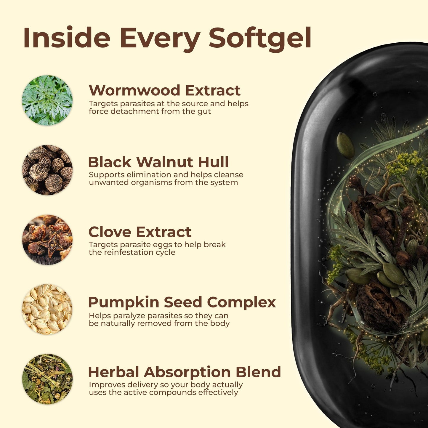 Wormwood Black Walnut ClovesFlush Out Hidden Parasites & Larva with Wormwood Black Walnut Cloves