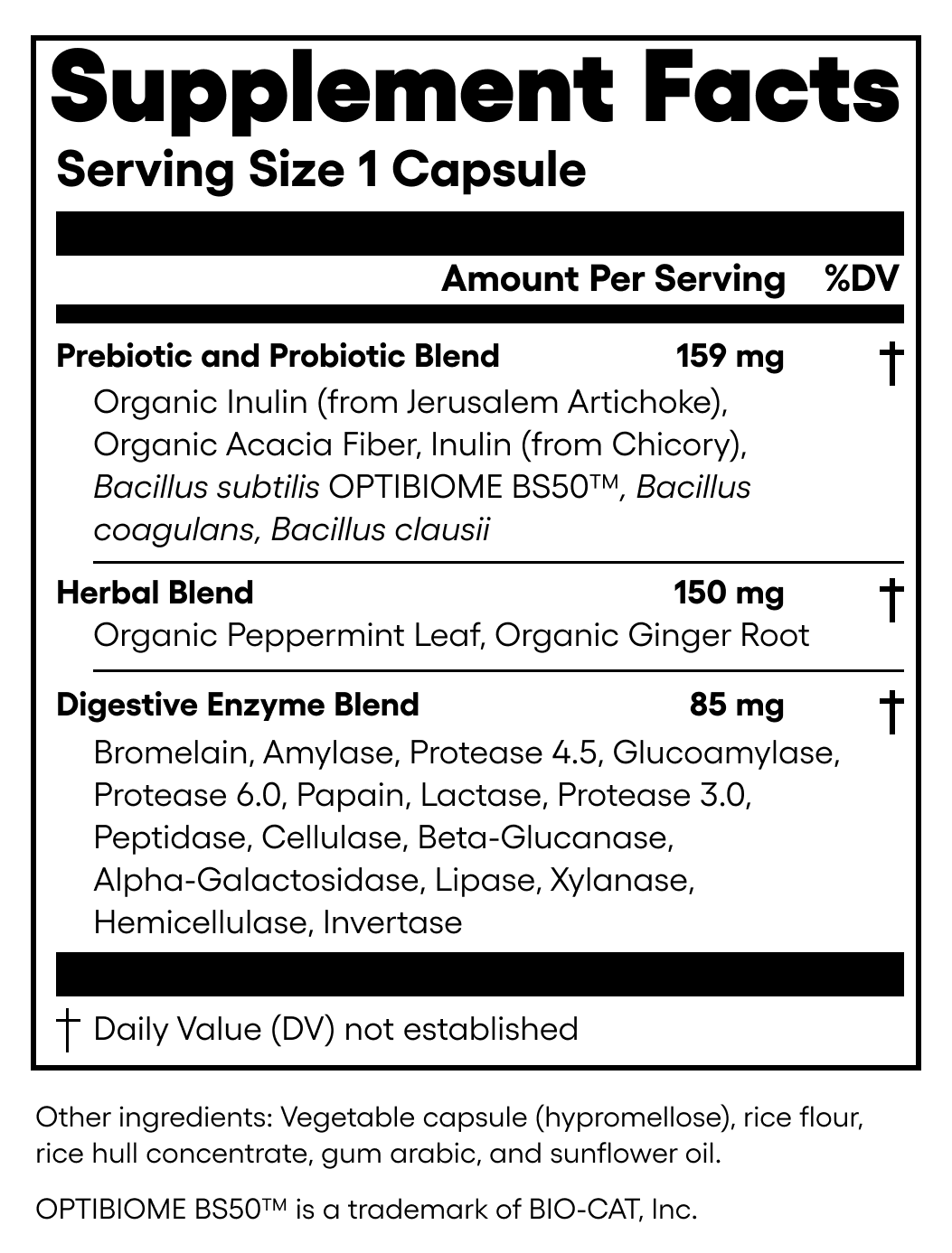 Digestive Enzymes